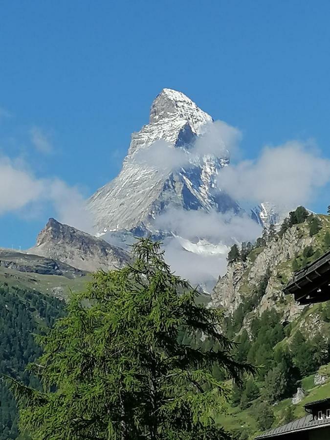 Petit Helvetia Budget Hotel Zermatt Eksteriør bilde